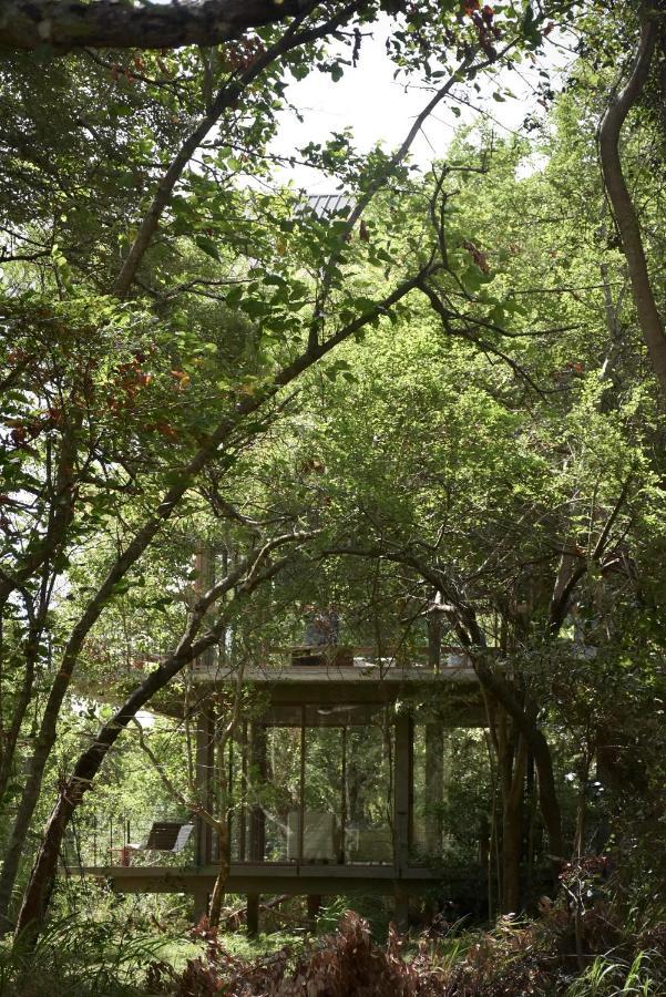 Wild Grass Nature Resort Сигирия Экстерьер фото