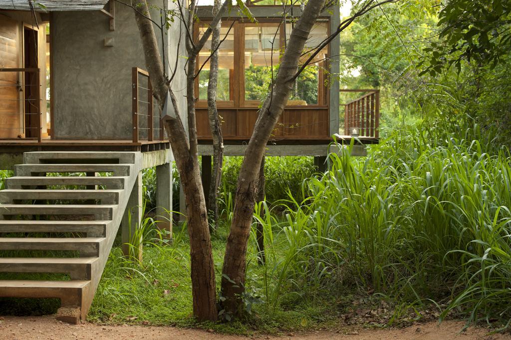 Wild Grass Nature Resort Сигирия Экстерьер фото