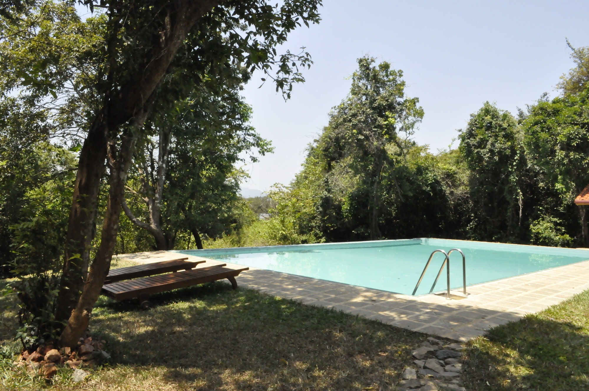 Wild Grass Nature Resort Сигирия Экстерьер фото