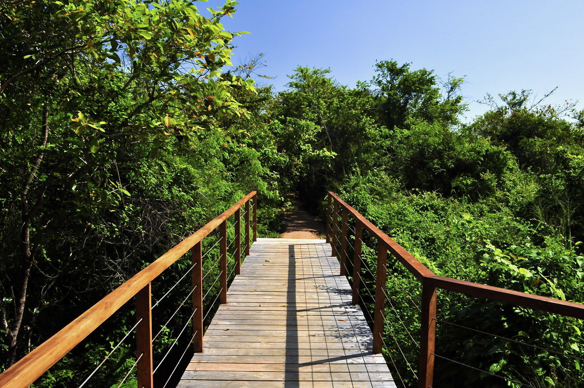 Wild Grass Nature Resort Сигирия Экстерьер фото